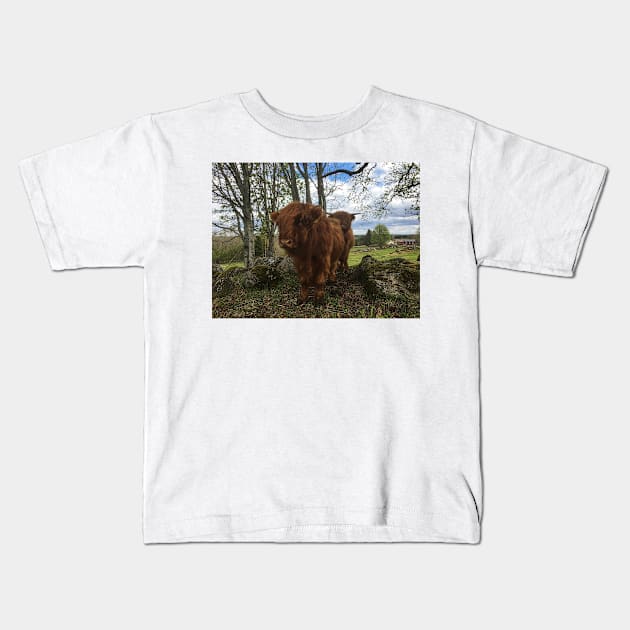 Scottish Highland Cattle Calf 2007 Kids T-Shirt by SaarelaHighland